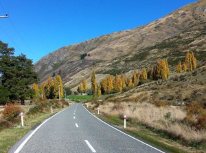 Glendhu Bay mountains