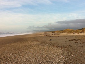 Haast beach