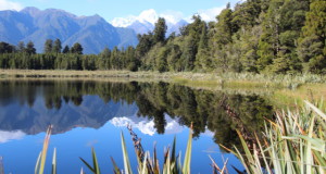 Lake Matheson view