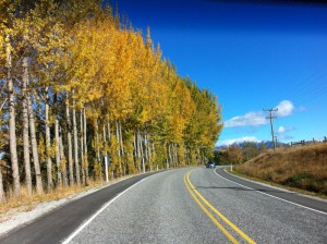 Malaghans Road