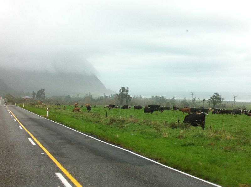 Driving in New Zealand Driving in New Zealand