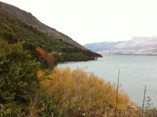 Drive from Haast to Queenstown: Lake Wanaka Drive from Haast to Queenstown: Lake Wanaka