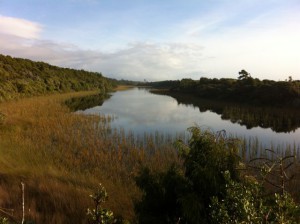 South Island West Coast lake