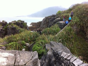 Walking in Paparoa National Park