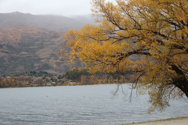 West Coast to Queenstown autumn colours West Coast to Queenstown autumn colours