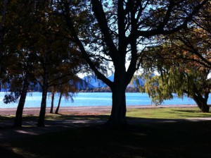 Wanaka lakeshore