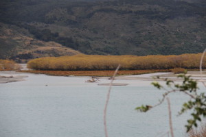 West Coast to Queenstown autumn road trip