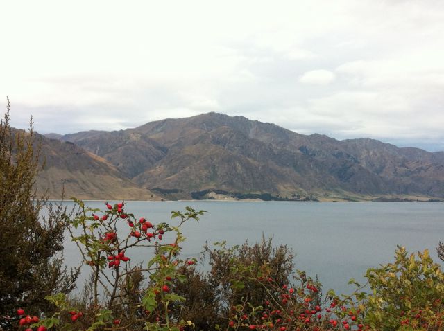 From West Coast to Queenstown, Lake Hawea From West Coast to Queenstown, Lake Hawea