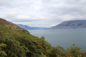 West Coast to Queenstown view