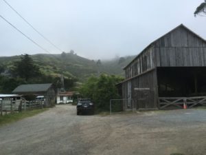 Muir Beach village