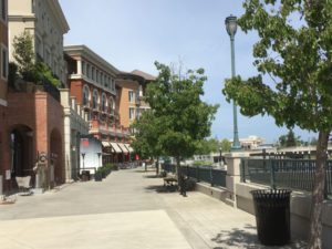 Napa California riverbank