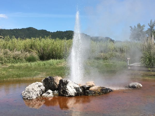 Old Faithful Geyser Napa Valley day trip Old Faithful Geyser