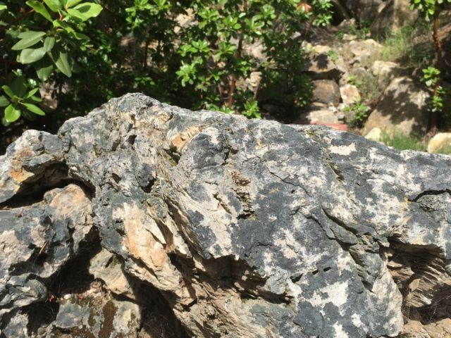 Petrified wood Napa Valley day trip Petrified wood Napa Valley