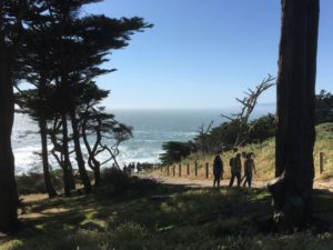 Point Lobos walking track