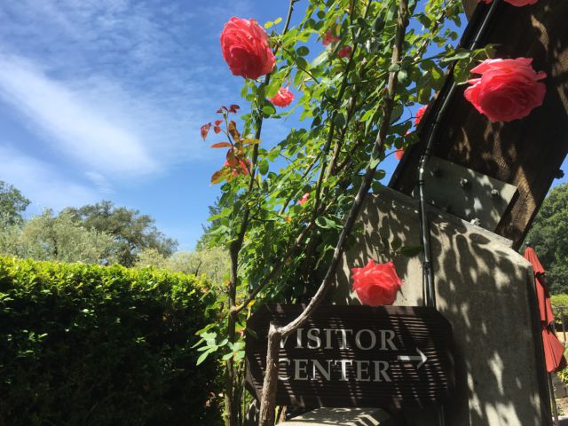 Rutherford Hill Winery, Napa Valley day trip Rutherford Hill Winery visitor center