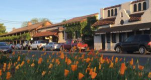 Sonoma center