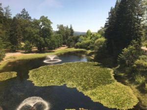 Sterling Winery garden