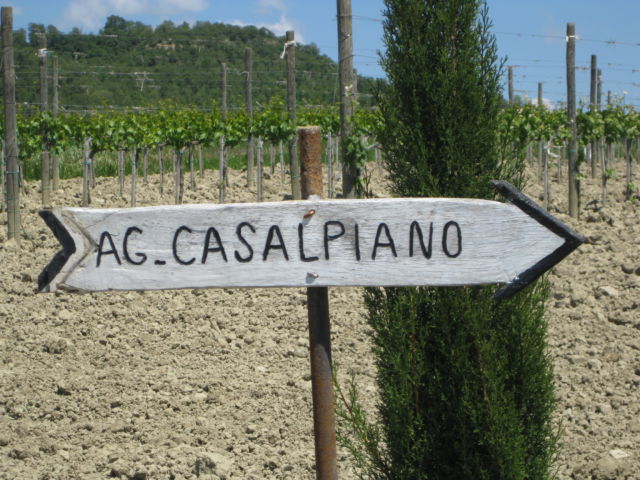 Agriturismo Casalpiano road sign Agriturismo Casalpiano road sign