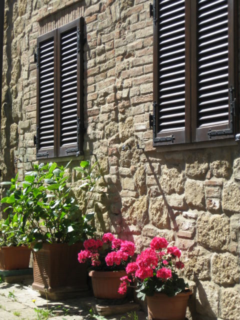 Monticchiello flowers, Tuscany Agriturismo holiday in Tuscany, Monticchiello flowers