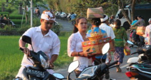 Central Bali Day Trip