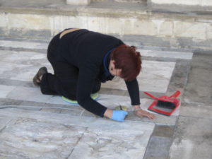 Campo dei Miracoli restoring