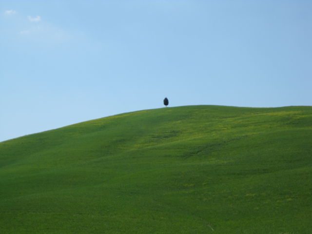 Agriturismo Holiday in Tuscany hills Tuscany hill