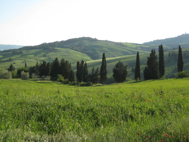 Driving in Tuscany Tuscany hills