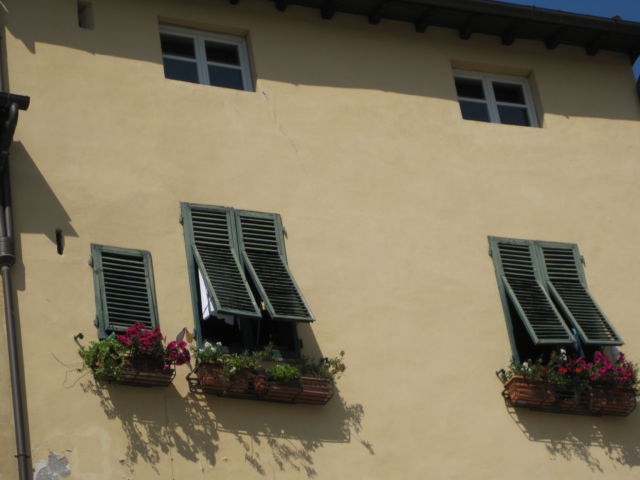 Tuscany scenic drive, a typical Lucca house wall Tuscany scenic drive, a typical Lucca house wall