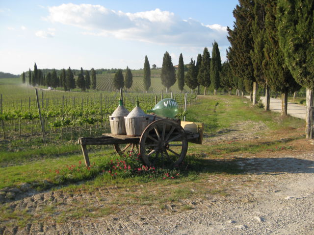 Vineyard view in Tuscany Tuscany scenic drive wine