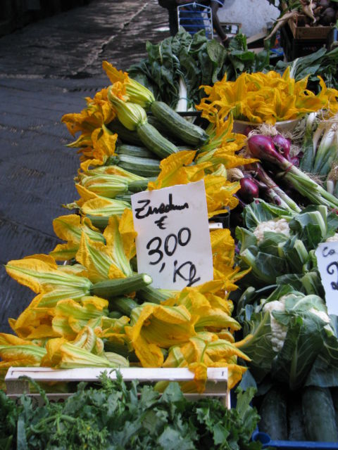 Tuscany Scenic Drive, zucchini flowers Tuscany Scenic Drive, zucchini flowers