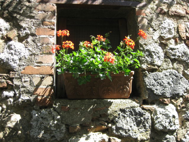 Driving in Tuscany, a pretty window A Tuscan window