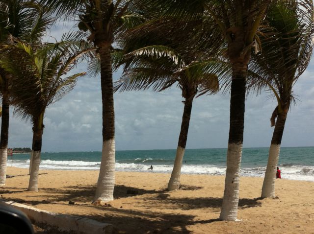 Porto de Galinhas beach Porto de Galinhas beach and palms