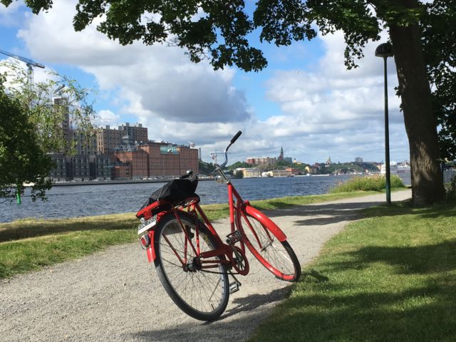 Stockholm nature tour by bike