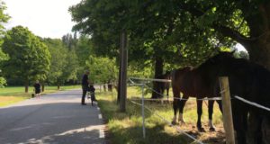 Stockholm nature tour by bike