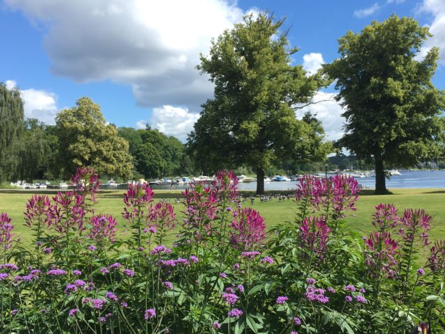 Stockholm nature tour by bike, pretty park