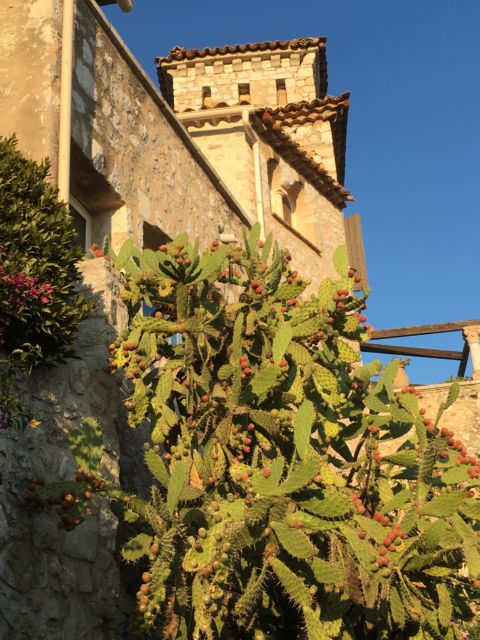 The Top 10 Places in the French Riviera, Eze The Top 10 Places in the French Riviera, Eze