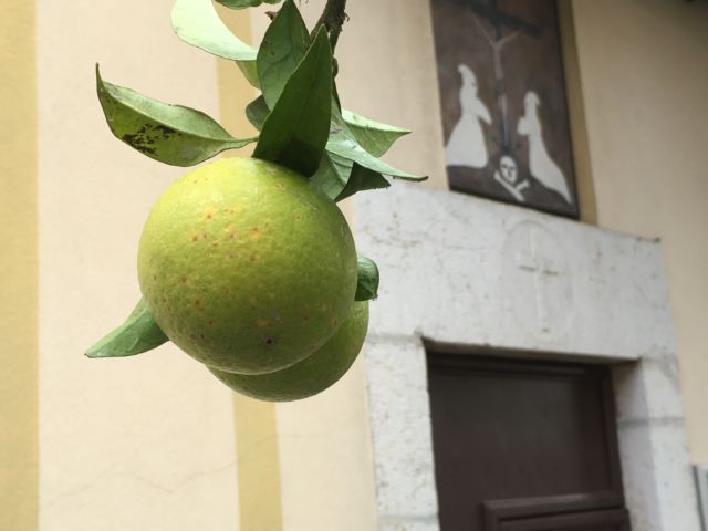 A Menton lemon, French Riviera