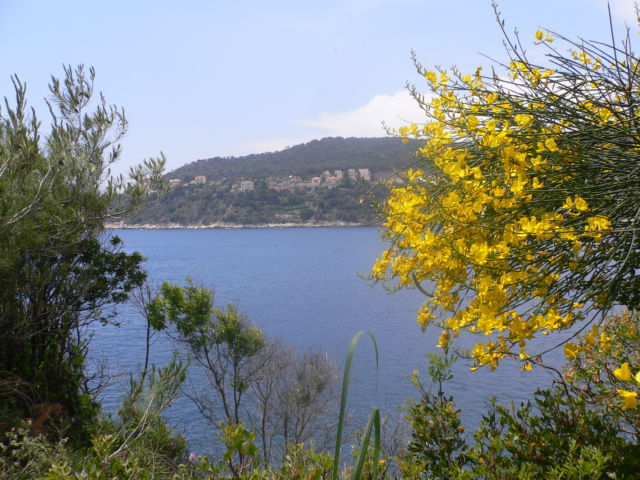 Walk around Cap-Ferrat, sea view from the path Walk around Cap-Ferrat, Villefrance on the other side