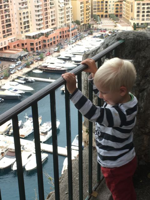 Fontvieille Monaco from the rock Fontvieille harbor from the rock