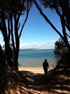 Exploring a beach