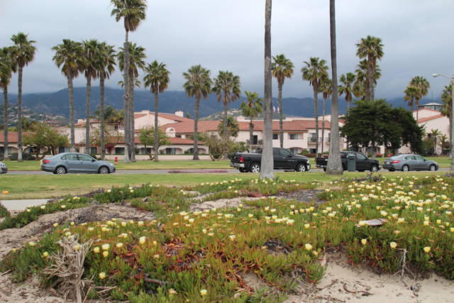 Santa Barbara beach park Santa Barbara beach park