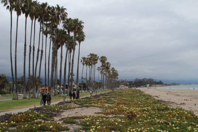 Santa Barbara beach Santa Barbara beach walk