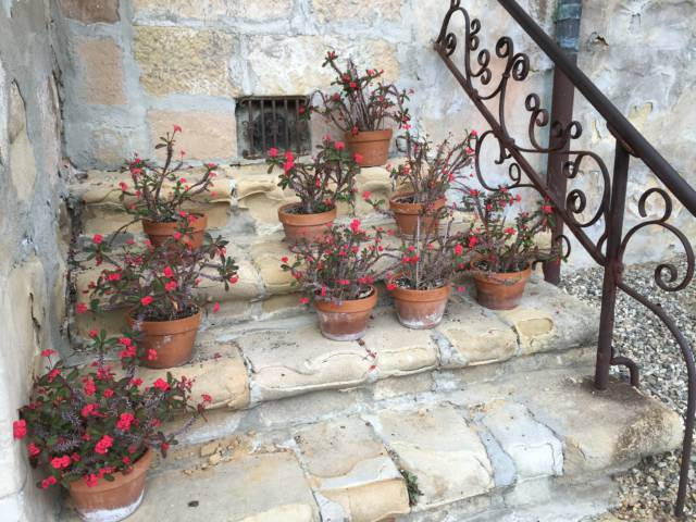 Santa Barbara Mission flower pots Santa Barbara Mission flower pots