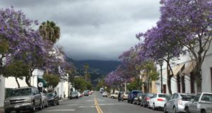 Santa Barbara street