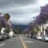 Santa Barbara street