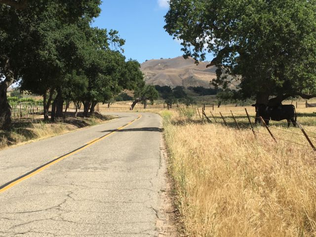 Santa Ynez Valley wine country road Santa Ynez Valley wine country road
