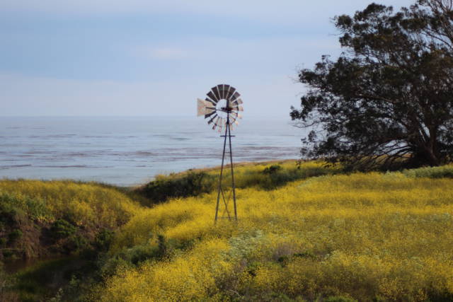 Windmill from US Highway 1 Windmill from US Highway 1