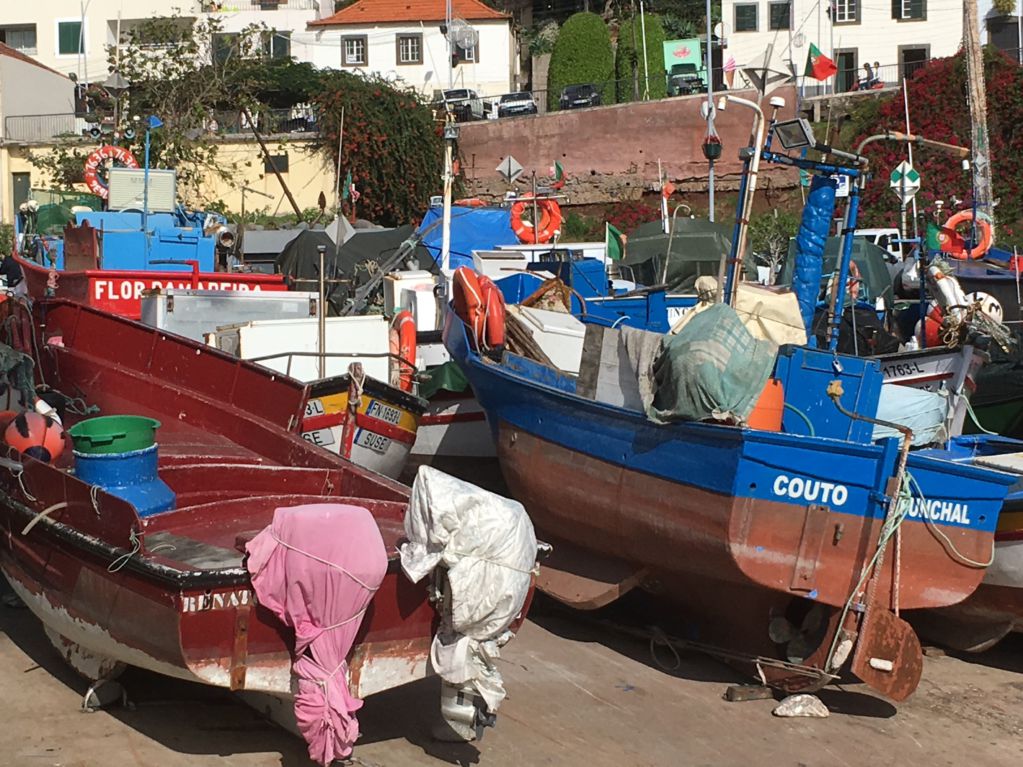 Camara de Lobos Madeira Driving in Madeira: Camara de Lobos fishing boats