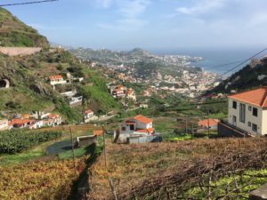 Camara de Lobos to Cabo Girao