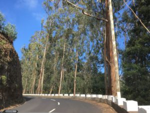 Curral das Freiras road Curral das Freiras road